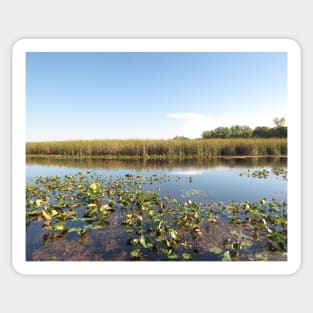 Wondrous Wetland Marsh - Point Pelee No.2 Sticker